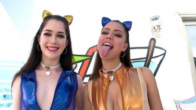 SWALLOWED-KITTIES LIKE WHIPPED CREAM-XNXX93.COM